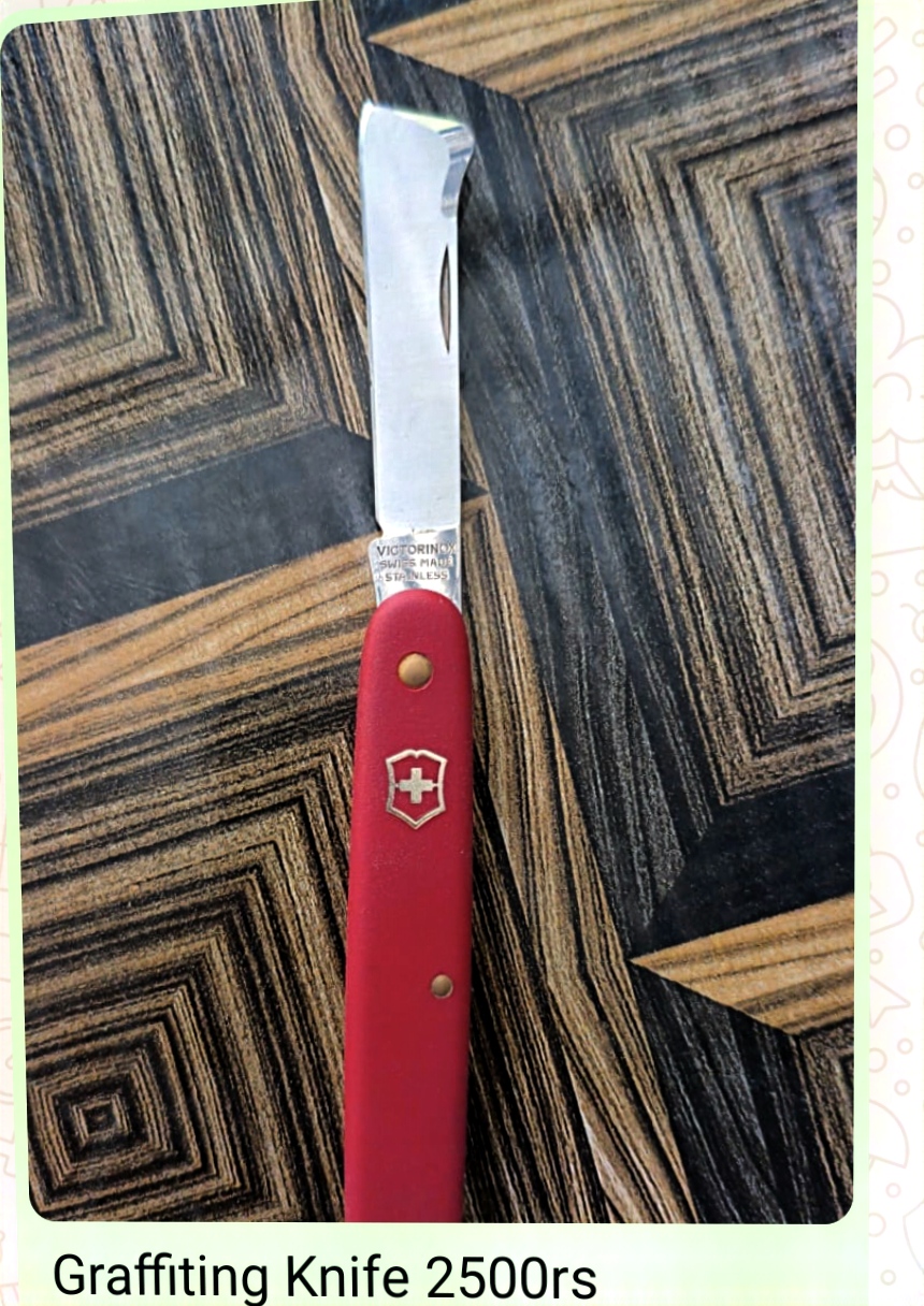 Graffiting Knife Image