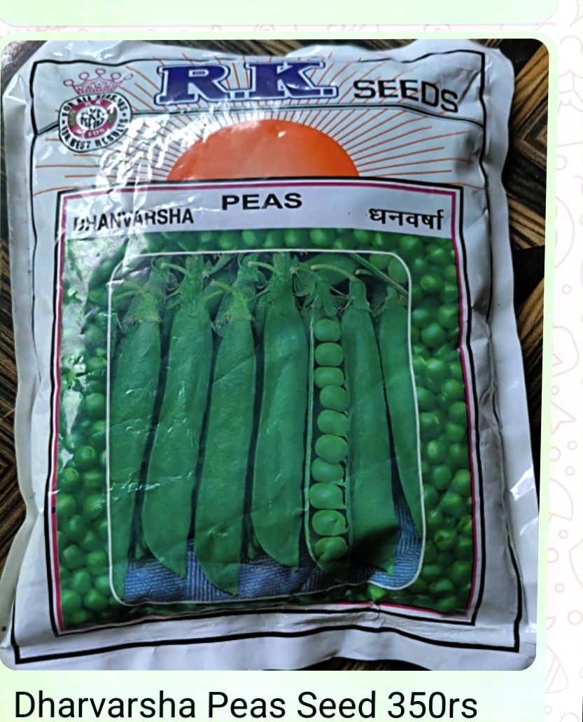 धनवर्षा मटर बीज Image